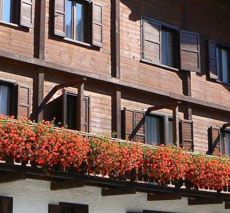 Hotel Edelweiss Courmayeur Exterior photo
